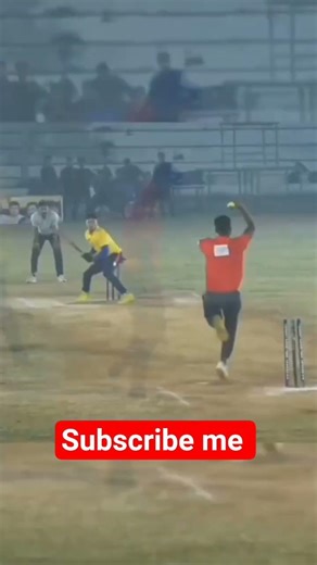 राजस्थान मीणा समाज का player Lokesh Meena #cricketshorts #CricketerLokeshMeena #crickethighlights