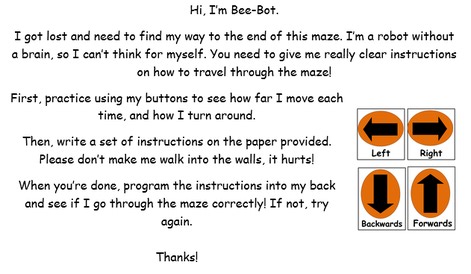 Bee-Bot in Cross-Curricular Learning