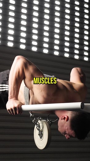 9K views · 196 reactions | Weighted calisthenics is a game changer. If you want to build an impressive physique and get strong, this is it. Shop FitnessFAQs for our hybrid workout to mix calisthenics and weights  | FitnessFAQs | Facebook