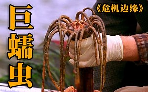 【危机边缘】寄生人体的巨型蠕虫，竟然是一味神奇中药