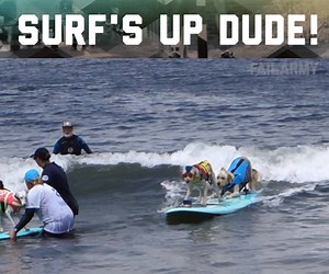 Everybody's gone surfing! | FailArmy 2.0