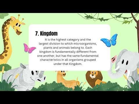 Animal kingdom (Class 9)