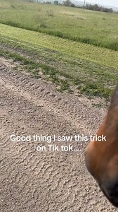 13K views · 240 reactions | Femalefarmerrancher.com #FarmLife #FarmerPride #FemaleFarmer #FarmHumor #RancherLife #JohnDeere #TractorLife #FieldWork #GrainFarming #AgLife #WomenInAg #BlondeAndProud #ModelLife #FarmLiving #FarmersOfInstagram #WomenFarmers #FarmJokes #RanchLife #JohnDeereNation #TractorLove #WorkingTheField #GrainHarvest #AgCommunity #WomenInAgriculture #BlondeBeauty #ModelingOnTheFarm #FarmStrong #FarmHumorDaily #JohnDeerePride #TractorPower | femalefarmerrancher | Facebook