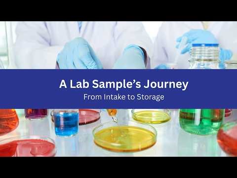Sample Management Software | A Lab Sample’s Journey – From Intake to Storage