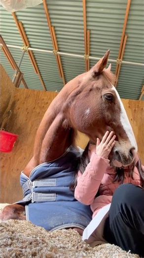 ふわり、空いた心に、そっと#horse #可愛い #かわいい