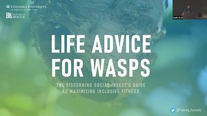 West-Eberhard Lecture 2022 - 'Life advice for wasps'