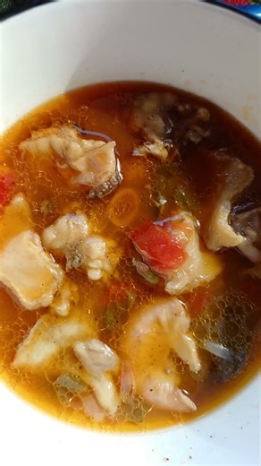 Delicious offals | Traditional meal