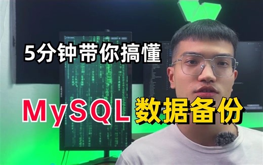 新来的小伙伴不会MySQL数据备份，我反手把这视频甩给他【五分钟带你搞懂3种MySQL数据库备份的方式 】