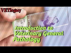 INTRODUCTION TO VETERINARY GENERAL PATHOLOGY