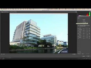 How to use CC Libraries to collaborate in a business environment