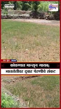 Ratnagiri | कोकणात मान्सून गायब; भातशेतीवर दुबार पेरणीचे संकट