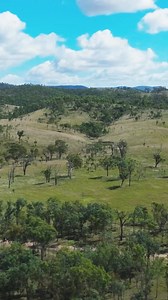 #MakeLifeARide and unleash the joy of riding with the BMW Motorrad range. Book your test ride today and embrace the exhilarating thrill of the open road! | BMW Motorrad Australia