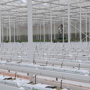 [Hot Item] Gutter Connected Grow House Greenhouse Used Substrate Gutter Structure