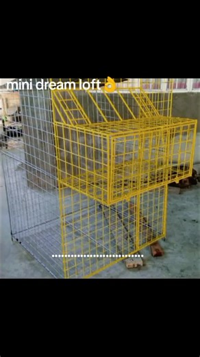 Building My Dream Pigeon Loft: A Mini Guide