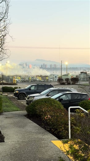 Golden Morning Serenity #beyondthemap #shortsfeed #nature #morning #morningvibes