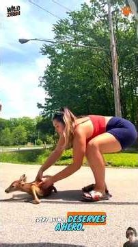 Human Angels: These Animals Thought Help Would Never Come 🥺🐾 (Part 13)