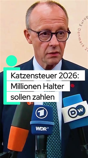 Schock für Katzenhalter: Registrierung, Plakette, Steuer #Katzensteuer#Steuer2026#HaustiereDE#Kostenexplosion#Tierhalter Satirischer Beitrag, keine geprüften Aussagen