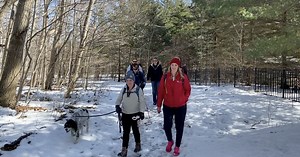 Things to Do: Go hiking in the Greater Lansing area with Adventure(ish)