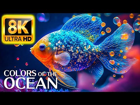 Colors Of The Ocean 8K ULTRA HD - The best sea animals for relaxing and soothing music #2