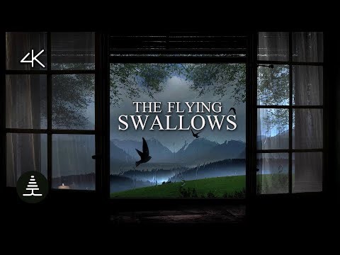 Rain on Window with Flying Swallows 4k Rain Sounds to Sleep
