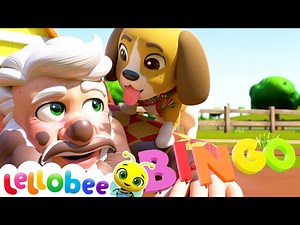 BINGO | Brand New Nursery Rhyme & Kids Song | ABCs and 123s Little Baby Bum - Videos For Kids