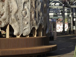 Why and how - The Growing Pavilion