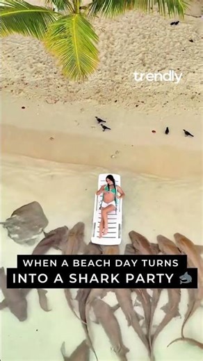 When a beach day turns into a shark party 🦈