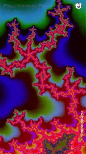 #animation #trippyart #shorts Fractal Harmony: Techno Trance and Trippy Visuals @PsychedelicReverse