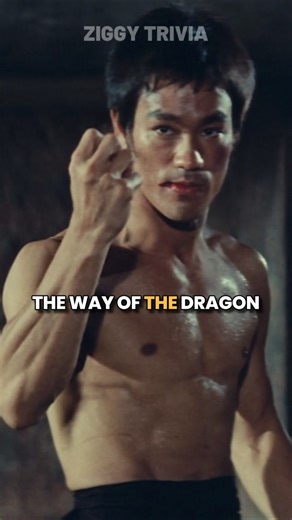 Did you know that in THE WAY OF THE DRAGON…