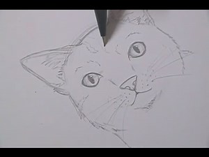 Tutorial - How to draw cats