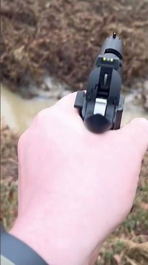 Mauser GSG 1911 22lr