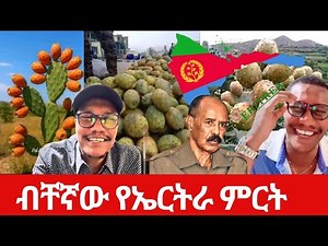 ኤርትራ 1400 ኪሎ ሜትር የባህር በር አላት ||Mota Keranio ሞጣ ቀራንዮ|Eritrean Political Activist |ethiopian Politics