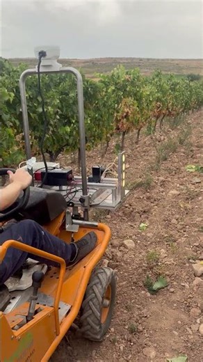 Video showing hyperspectral image acquisition - Hypergrape project