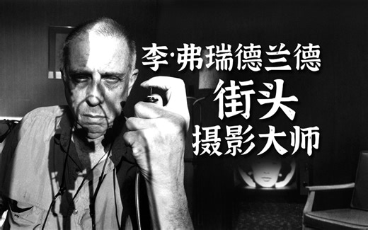 【精选影集】街头摄影大师李·弗瑞德兰德镜头下橱窗反射的世界