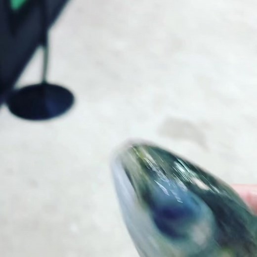 6 foot Monster fish feeding on a 12” mullet #monsterfish #hugefish #freshwater #pond #pirarucu