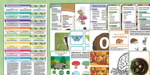 EYFS Forest and Woodland Activity Planning and Continuous Provision Ideas and Resource Pack (Ages 2-4)