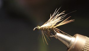 The Picket Pin Fly Tying Tutorial [Video] - Wet Fly Swing