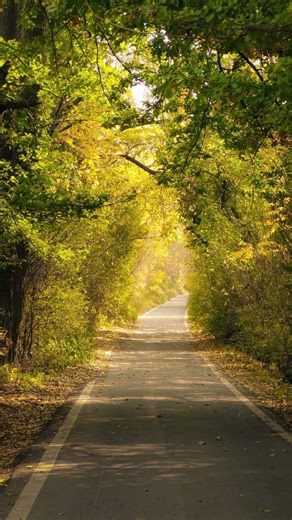 Beautiful Quran Recitation with Nature Scenery | Relaxing & Peaceful