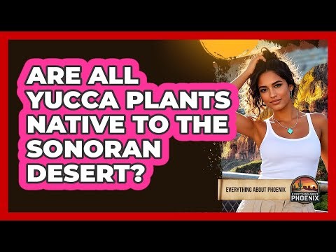 Are All Yucca Plants Native To The Sonoran Desert?