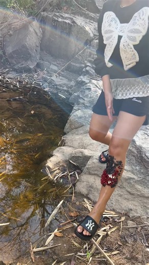 Effective Tick Removal Techniques for Skin