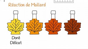 Le sirop d'érable est un produit chouchou pour plusieurs Québécois! Par contre, qui sait vraiment comment fonctionne la production du sirop d'érable? Pour en savoir plus, visionnez la vidéo ci-dessous🍁 | Érable du Québec