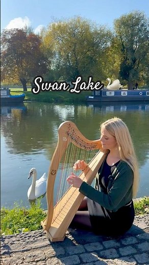 Swan Lake 🦢🪉