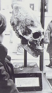 27K views · 582 reactions | The Museum of Extraterrestrial History...