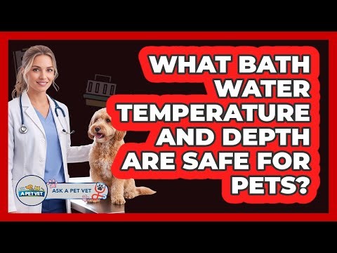 What Bath Water Temperature And Depth Are Safe For Pets?