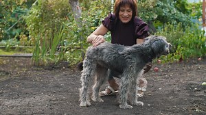 Woman caresses her dog in the garden - Free Stock Video
