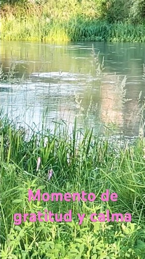 Sensaciones. Paz a la orilla del río.