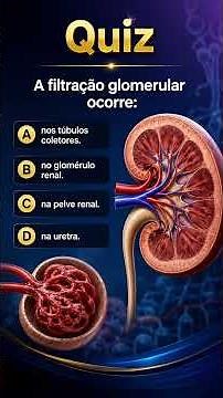 A filtração glomerular ocorre:
