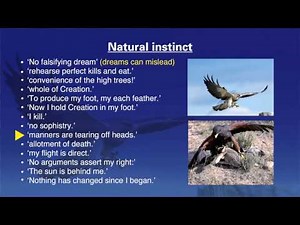 Hawk Roosting by Ted Hughes!| GCSE/ IGCSE Revision Guide & Analysis