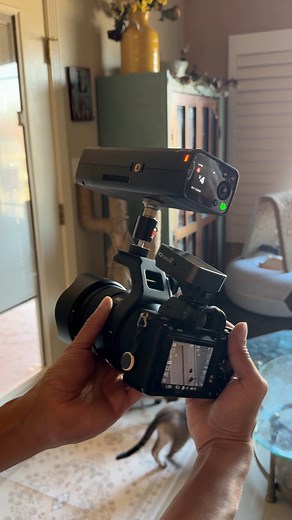 Flashpoint Evolv 200 Pro II⚡ #flashpointlighting #viltrox | Francisco Joel Hernandez