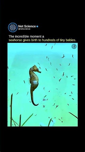 Nature is full of wonderful creatures😨